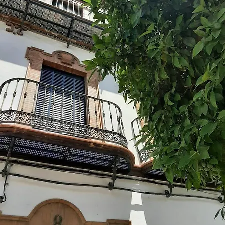 'suite Magallanes' Apartamento Cool En El Verdadero Centro De Apartamento *